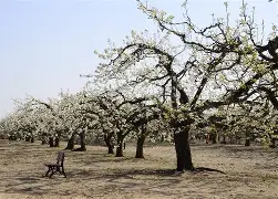 vr鎇?钚晋Bi睠	潚妫晫?质豉UQf幰l的简单介绍